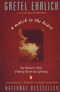 A Match to the Heart: One Woman's Story of Being Struck By Lightning