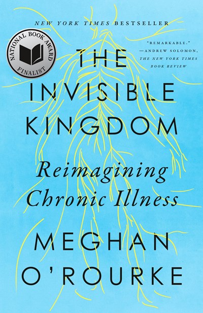 The Invisible Kingdom: Reimagining Chronic Illness