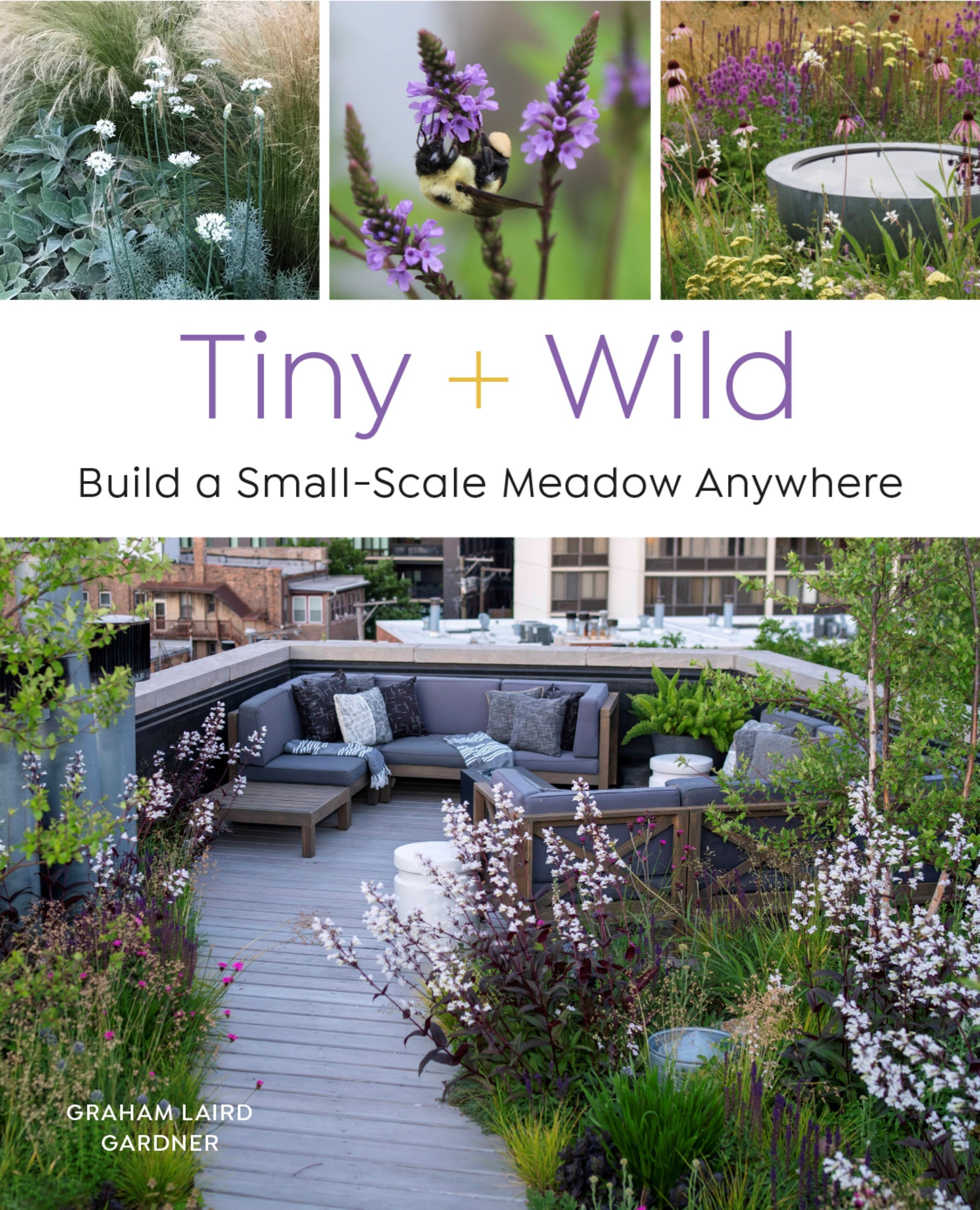 Tiny and Wild: Build a Small-Scale Meadow Anywhere