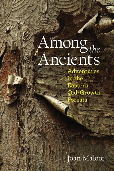 Among the Ancients: Adventures in the Eastern Old-Growth Forests