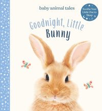 Goodnight, Little Bunny