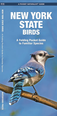 New York State Birds: A Folding Pocket Guide to Familiar Species