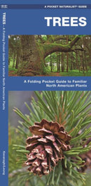 Trees: A Folding Pocket Guide to Familiar North American Plants