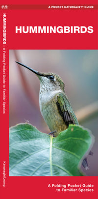 Hummingbirds: A Folding Pocket Guide to Familiar Species