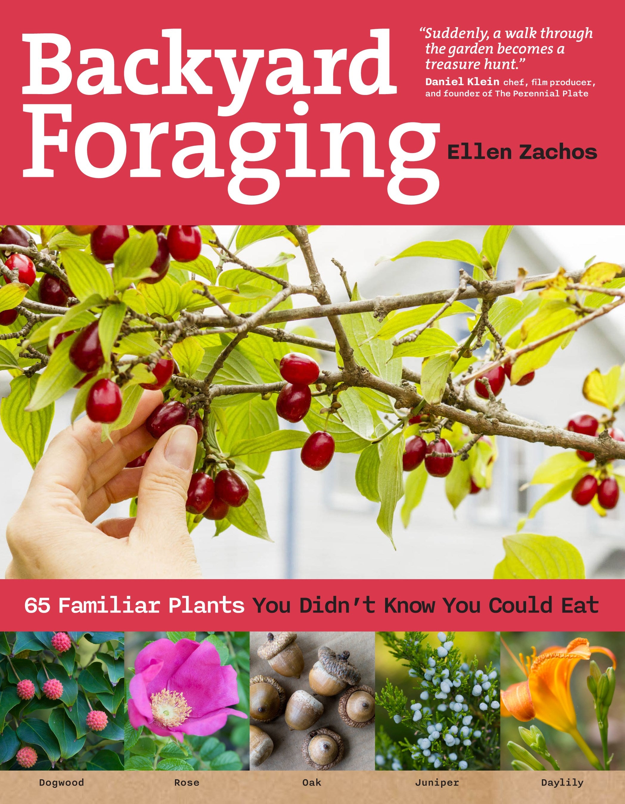 Backyard Foraging: 65 Familiar Plants You Didn’t Know You Could Eat