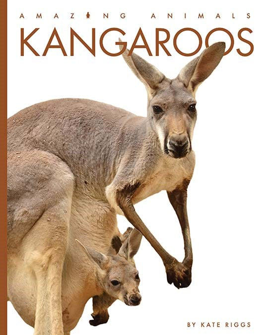 Kangaroos