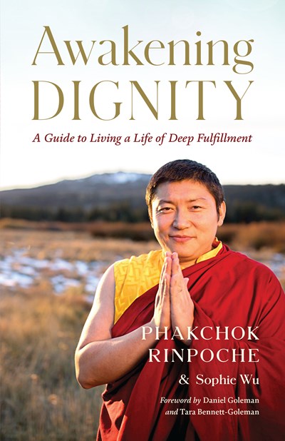 Awakening Dignity: A Guide to Living a Life of Deep Fulfillment