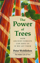 The Power of Trees: How Ancient Forests Can Save Us if We Let Them